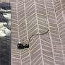 iPhone 7 Plus Antenna (WiFi) Image 2