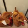 Doggy lover slippers Image 3