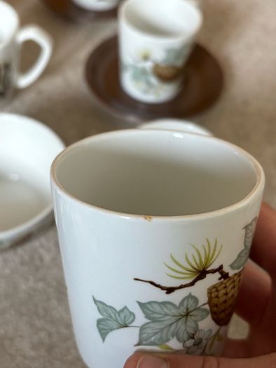 mid-century 15-piece Alfred Meakin coffee set in the "Fir Cone" (or "Hedgerow")