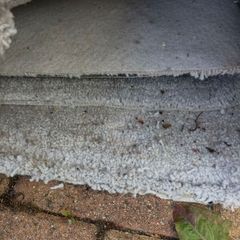 carpet underlay skirting