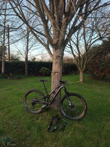 specialized stumpjumper expert. ST & LT