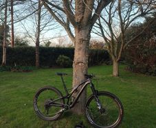 specialized stumpjumper expert. ST & LT