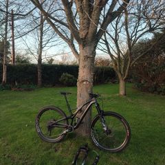 specialized stumpjumper expert. ST & LT