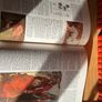 Encyclopedia Image 2