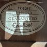 12 String Epiphone Electric-Acoustic Guitar Image 2