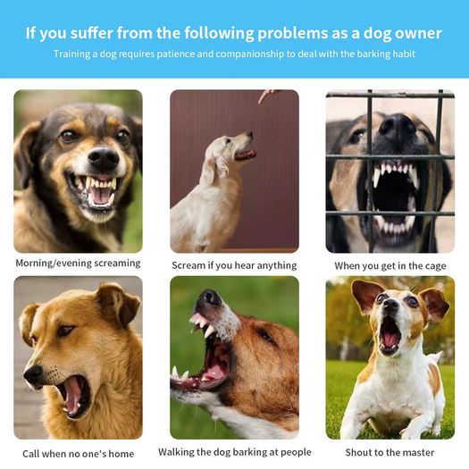 USB Rechargeable Automatic Dogs Training Collar Ultrasonic Pet Dog Anti Barking Stop Barking Vibration Anti Bark Waterproof Collar Devices Type-C