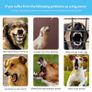 USB Rechargeable Automatic Dogs Training Collar Ultrasonic Pet Dog Anti Barking Stop Barking Vibration Anti Bark Waterproof Collar Devices Type-C Image 4