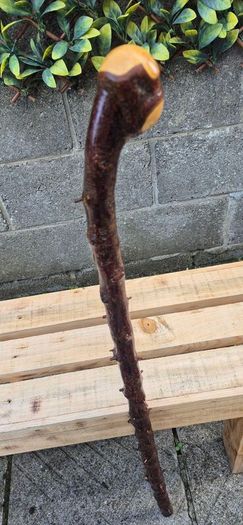 blackthorn walking stick
