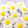 cake toppers sugar flowers Image 2