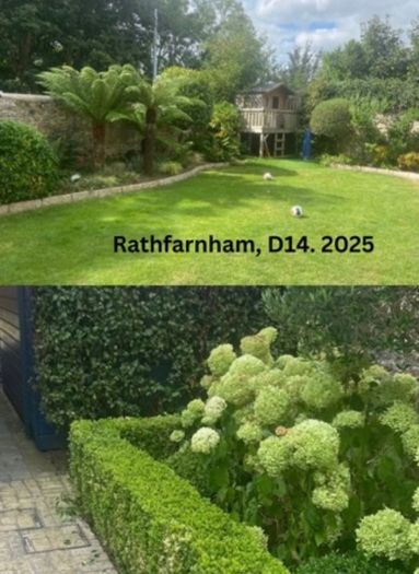 Professional Garden Maintenance - Dublin & North Wicklow
