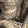 Logs Image 2