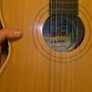 LARK Guitar Image 2