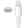 Apple Sync & Charger USB Data Cable For iPhone 6 5 iPad Mini iPad 4 Image 2