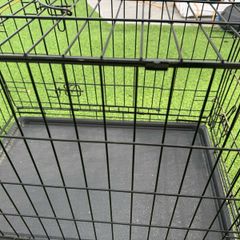 dog cage for sale