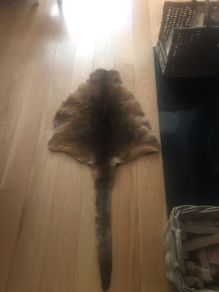 Kangaroo skin
