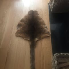 Kangaroo skin
