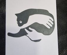 Cat Cuddle in Arms Blank Greeting Card