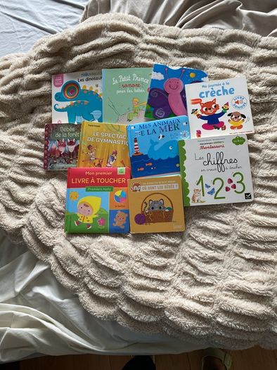 Large selection of French language children's books