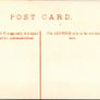 A Paddy Irish Boy Portrait Vintage Postcard Hely's Dublin Blackthorn Stick DB Image 2