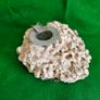 Vintage Fossilised Coral  Ashtray Image 9