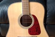 Takamine GD93 (Brand New Condition)