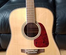 Takamine GD93 (Brand New Condition)