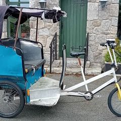 Ebike Rickshaw