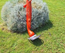 Two strimmers
