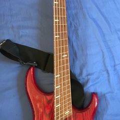 Dingwall 5 string Voodoo Bass Guitar