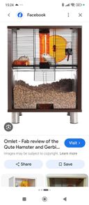 Hamster
