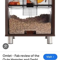 Hamster