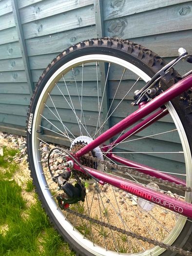 Mountain bike