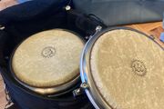 Pearl Travel Congas