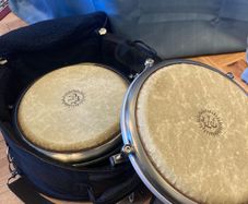 Pearl Travel Congas
