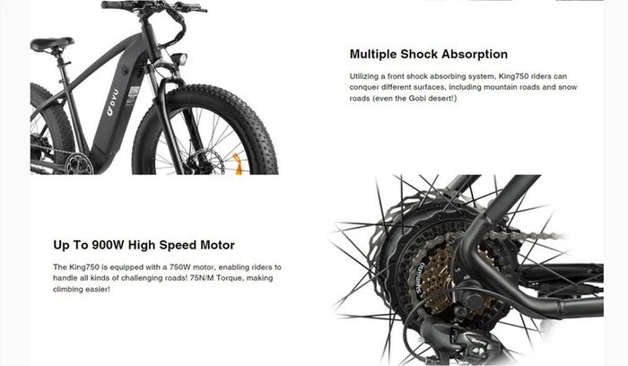 DYU King 750 Mountain E-Bike