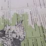 Pbr ch hefers with certs Image 10