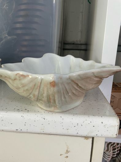 Dish clamshell bowl