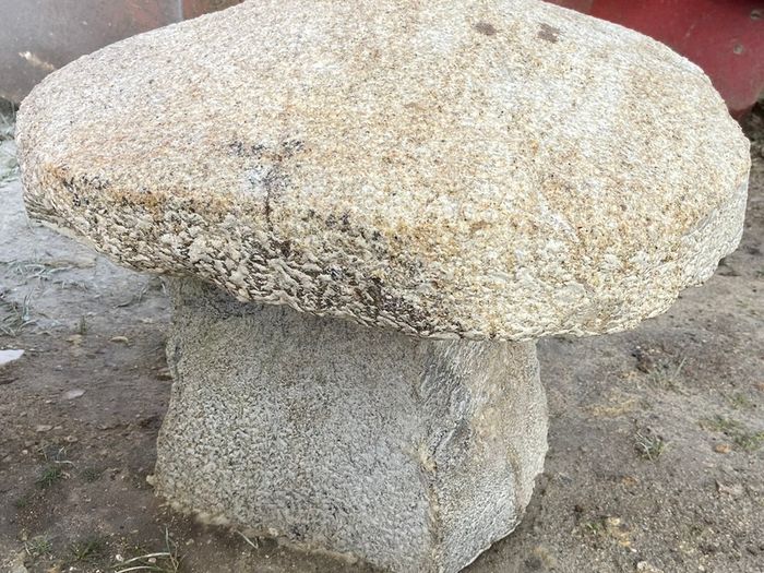 granite mushrooms