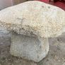 granite mushrooms Image 10