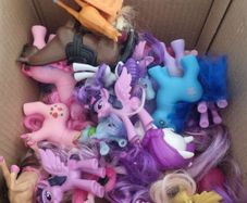 Pony Toys