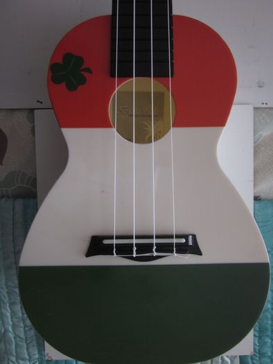 Brunswick BU50CIRE Ukulele Concert ABS Ireland Tricolour Flag