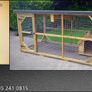 Dog Kennel & Enclosure Image 9
