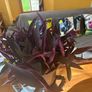 indoor house plant Image 2