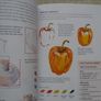 Drawing & Sketching book, Art supplies,Paperback book Image 6
