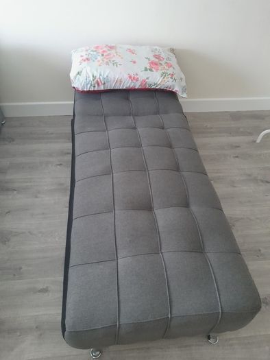 House Sofa/Bed FREE