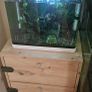 Shrimp tank Image 7