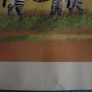 E.B. Watts - Ltd. Edition Print - 39/200 - Zebras and Colobus Monkeys - 20th Century Image 7