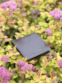 Ted Baker leather wallet