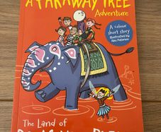 The Land of Do As You Please: A Faraway Tree Adventure (Enid Blyton)