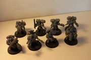 Warhammer Wolfguard and Skyclaw